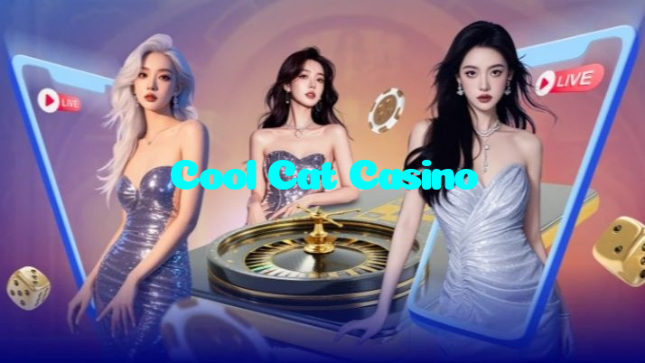 available types of Cool Cat Casino bet including pre-match live express and system bets