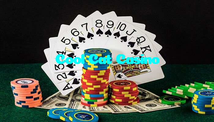 available types of Cool Cat Casino bet including pre-match live express and system bets